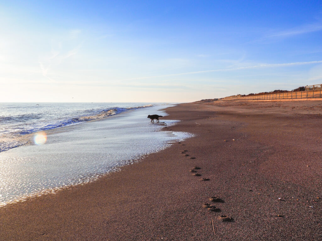 Sandilands Beach